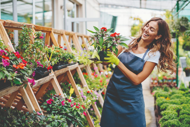 A woman stands proudly in her flower greenhouse, holding a pot of blooming pink flowers.