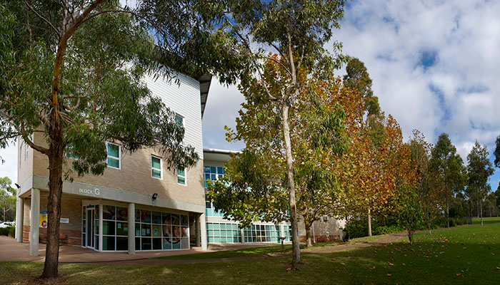 Loftus