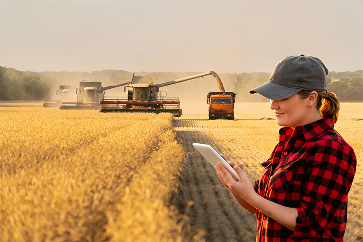 Diploma of Agriculture