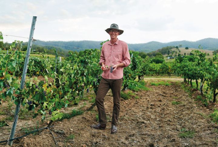 A smiling TAFE student winemaker with a bunch of grapes in one hand. He’s standing on cleared ground between rows in a vineyard, smiling at the camera.