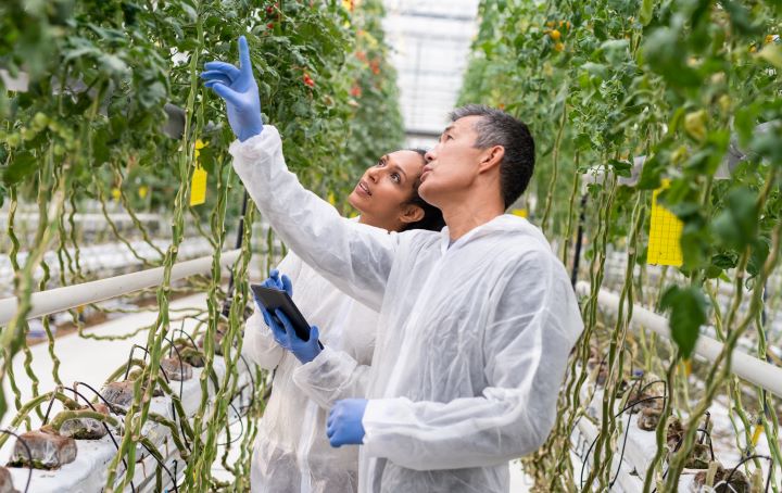 Two researchers stand in lab coats inside a vibrant greenhouse. They are studying plants surrounded by lush greenery. The man is pointing something out while the woman holds a tablet she’s using for their work.