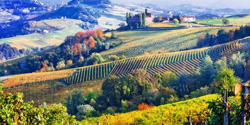 Idyllic northern Italian vineyard and countryside  view over hills and valleys. The colourful patchwork of farms, hamlets and clusters of trees in autumnal colours is all the more beautiful with the day’s golden sunset light.