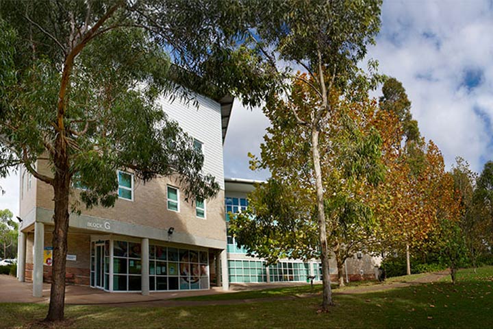Loftus