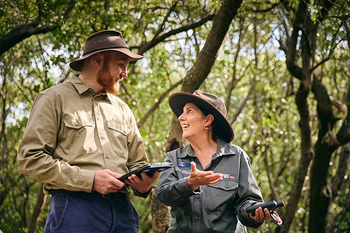 TAFE Statement in Bushland Management